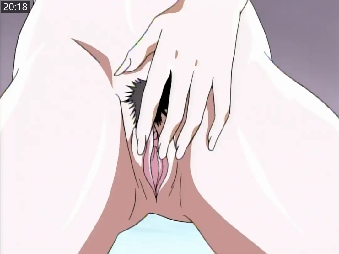c521d77f2f579.png.webp