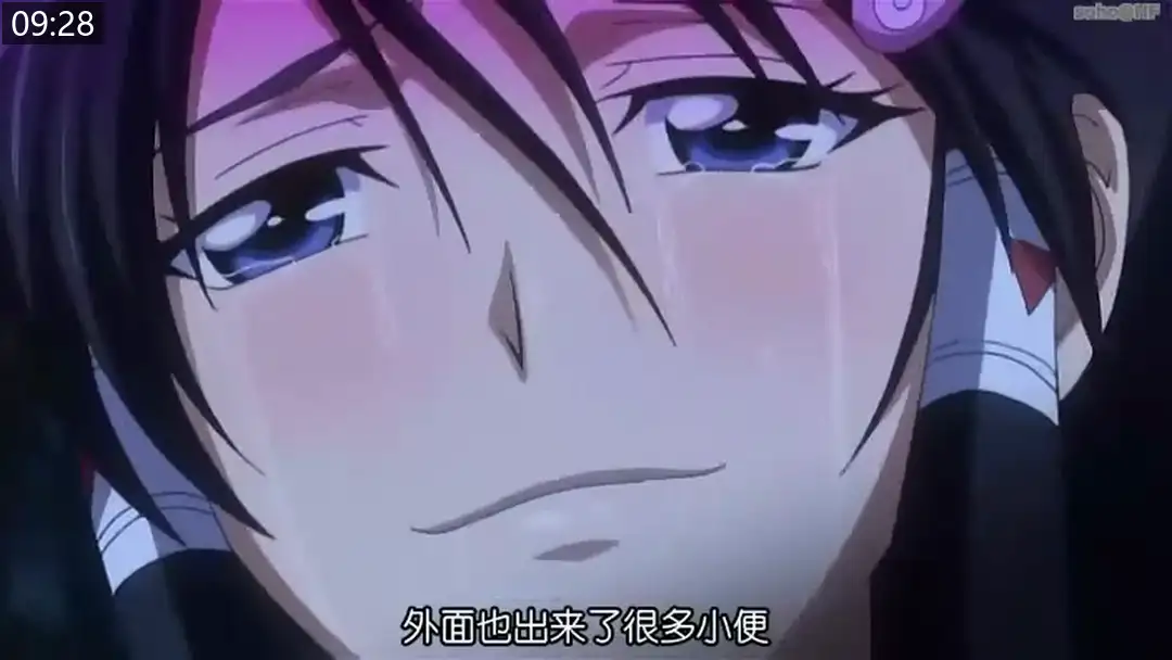 8368baa17686e.png.webp
