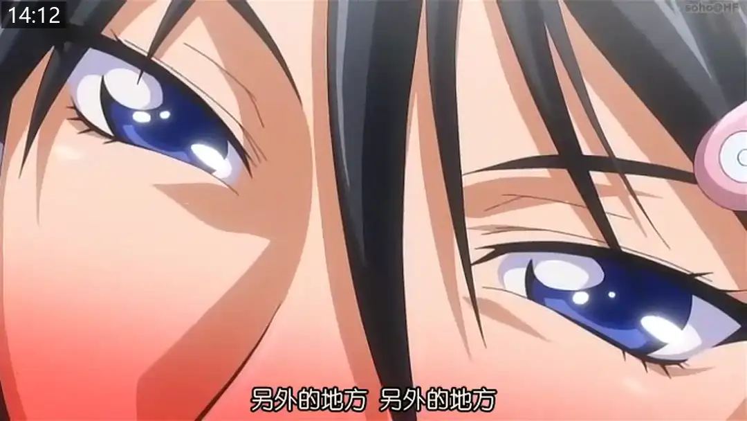 1fafc7ba4f64e.png.webp