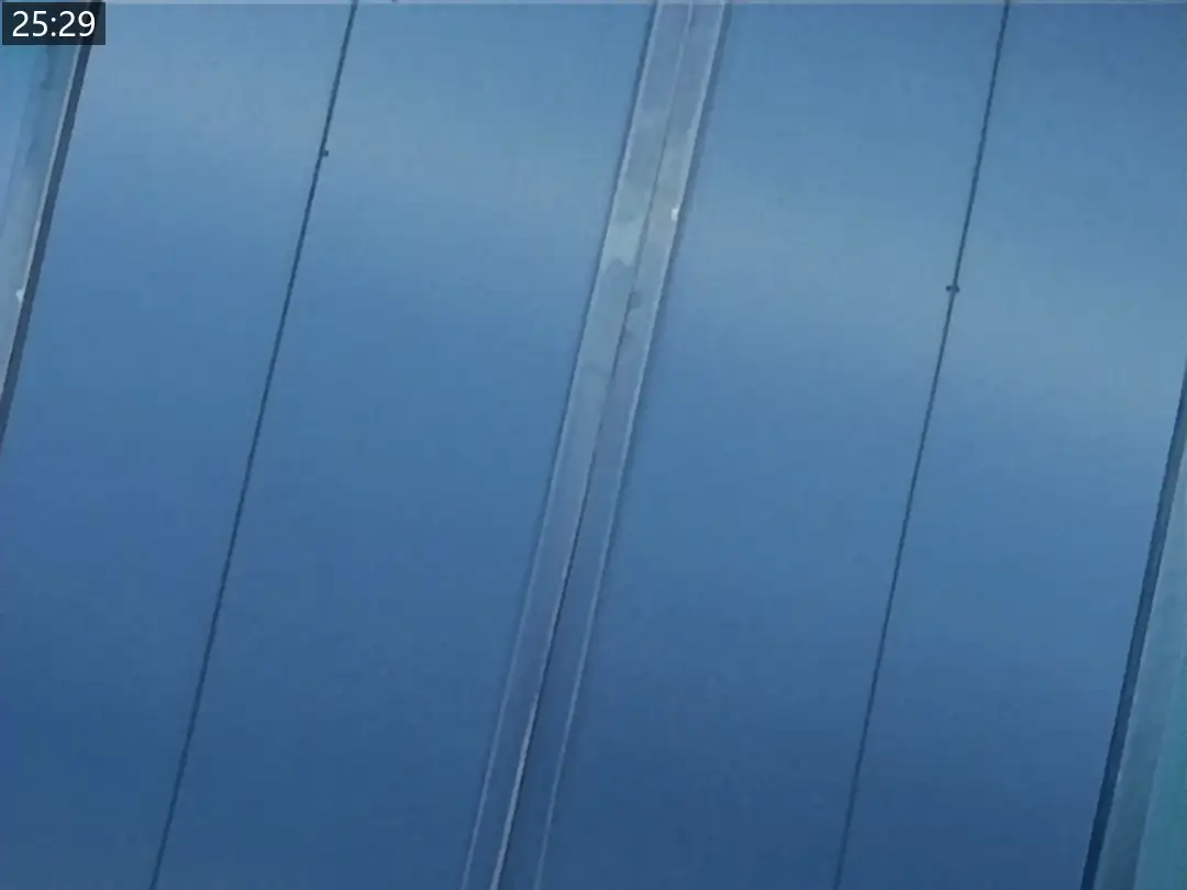 6cad0cb1aa17c.png.webp