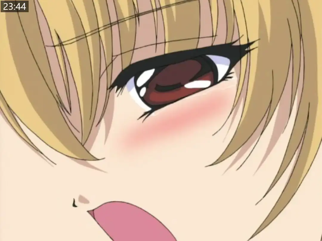 786dc5a25fb40.png.webp