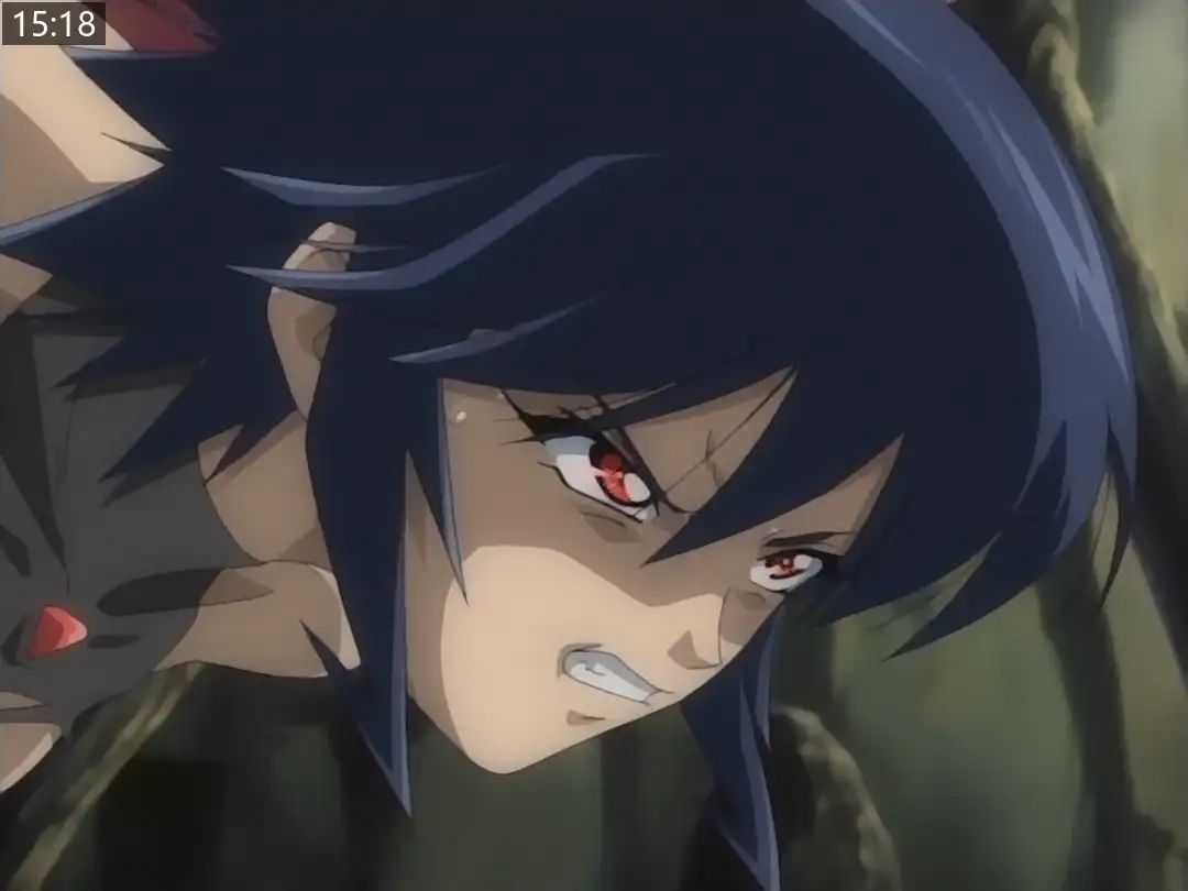 6425486db415d.png.webp