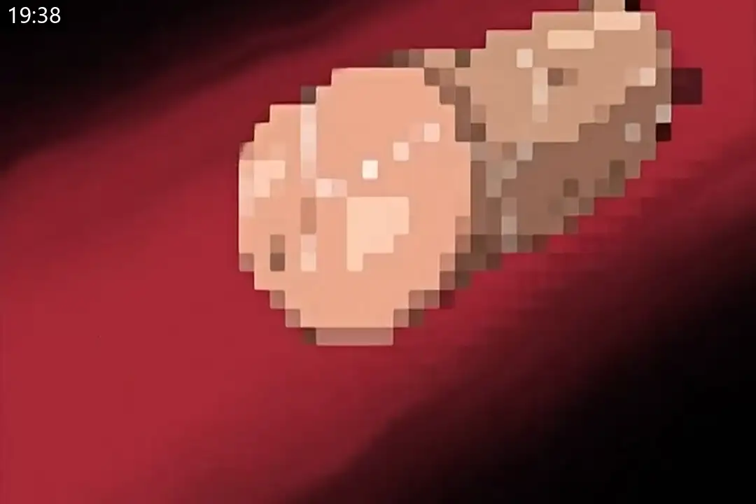 94e40bd66ad84.png.webp
