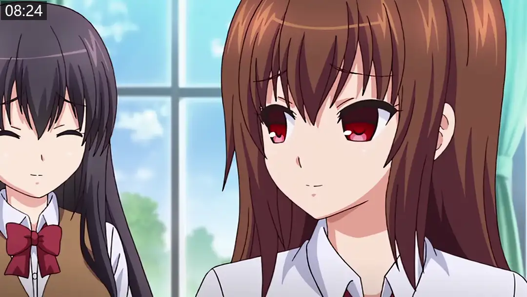 92264bd548a92.png.webp