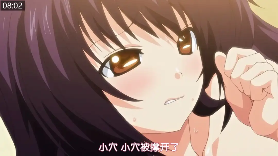 ba372eb2f0281.png.webp