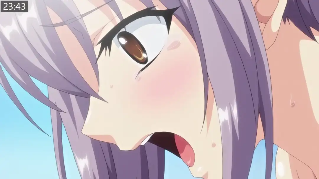 99ce0d7f27a8e.png.webp