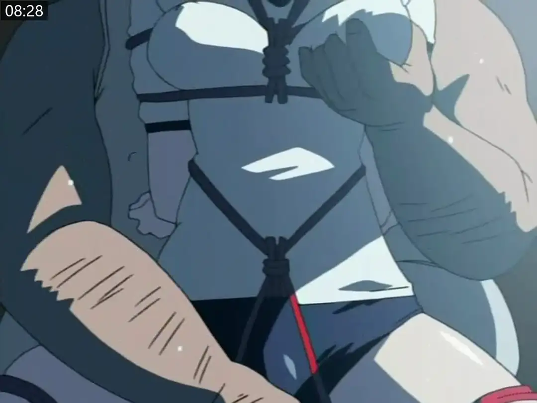 ce644c55ddddc.png.webp