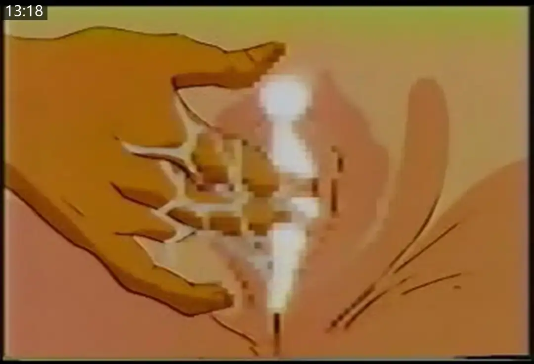 b9f14974c3952.png.webp