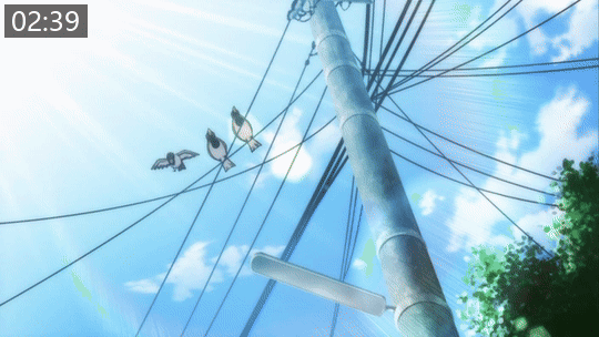 e596d4576ff7d.gif.webp