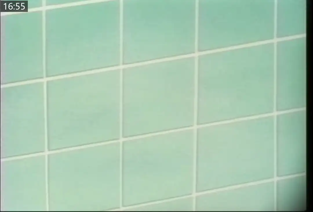 33995e5a29ed9.png.webp