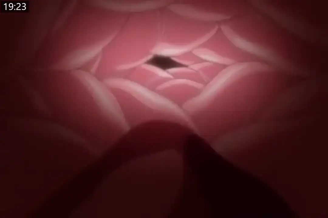 9c470dca7866e.png.webp