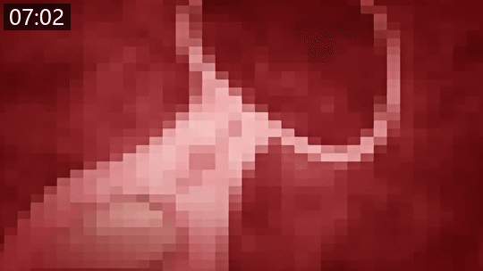 0833c4cb3a575.gif.webp