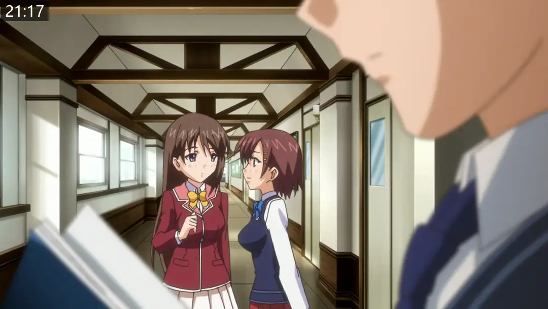 33d9a19b7991c.png.webp