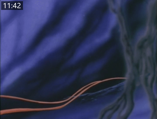 74769db7a7fdf.gif.webp