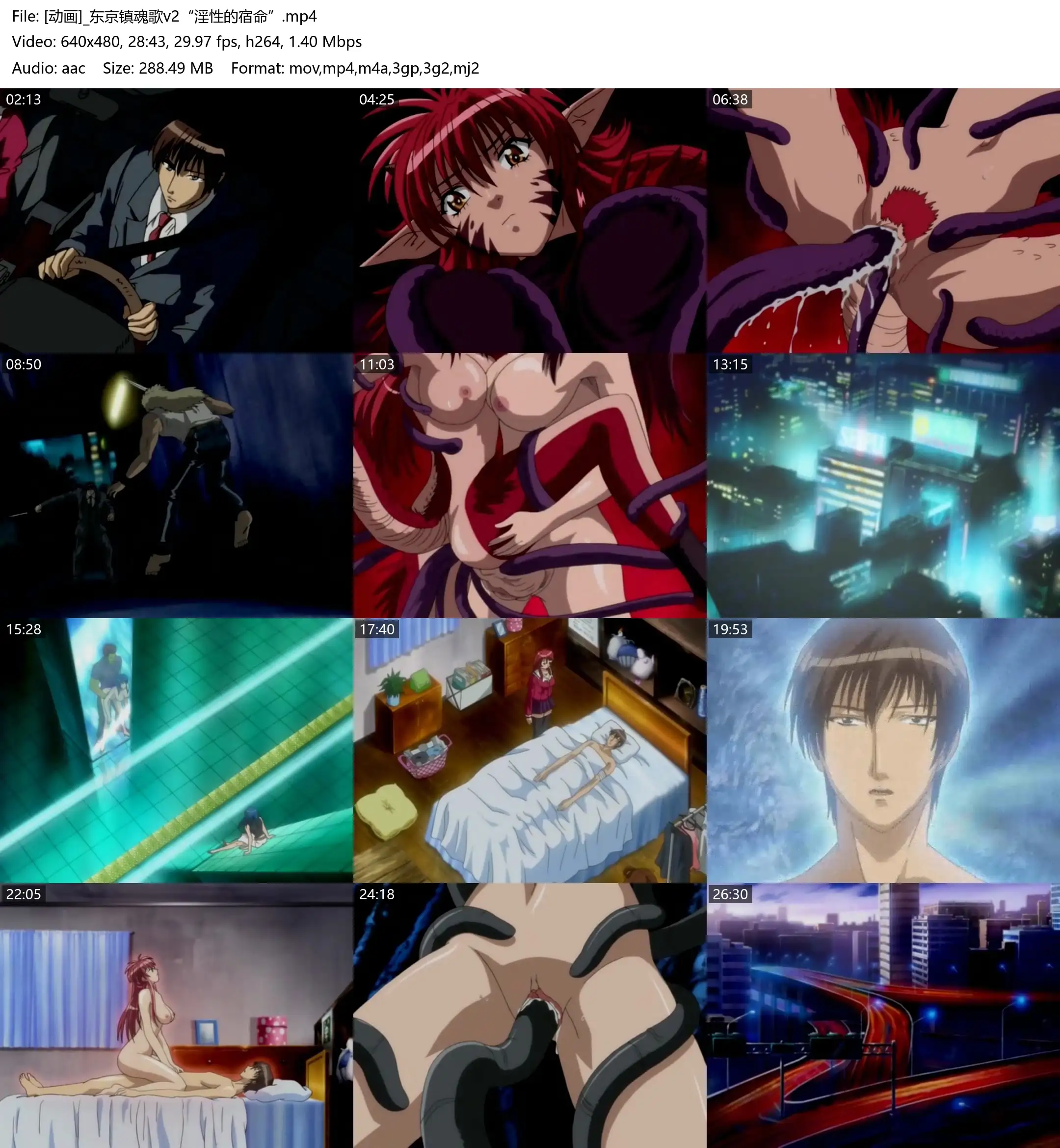 8284f50d24f13.webp.webp