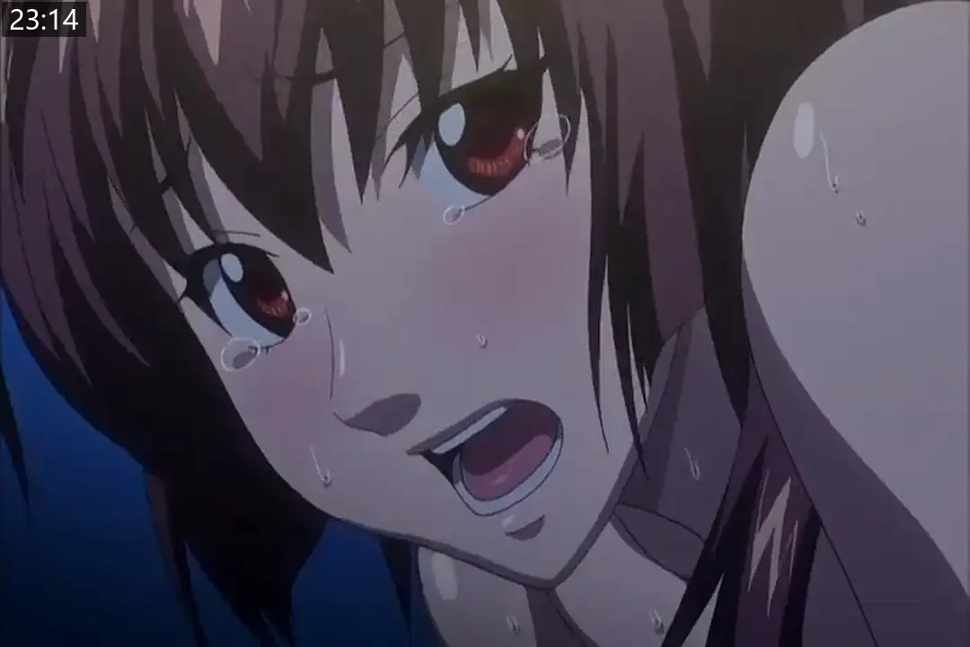 5b624d2be7e09.png.webp