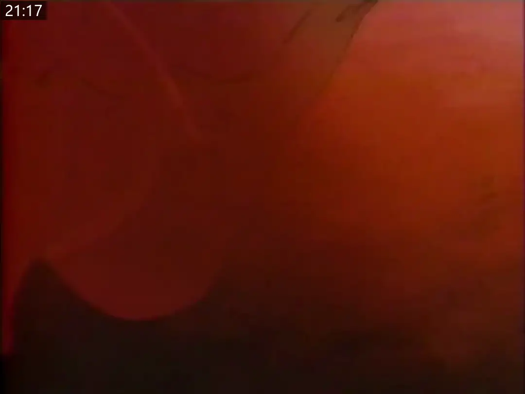 86ffcf2c7aa93.png.webp