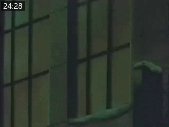 c43a77b4d0e02.gif.webp
